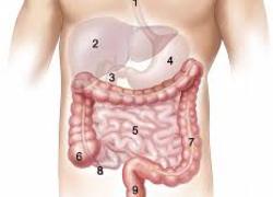 Normal_crohn