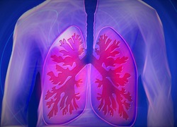 Normal_copd_longen